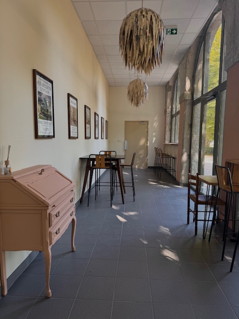 chill room pour jouer ou réviser