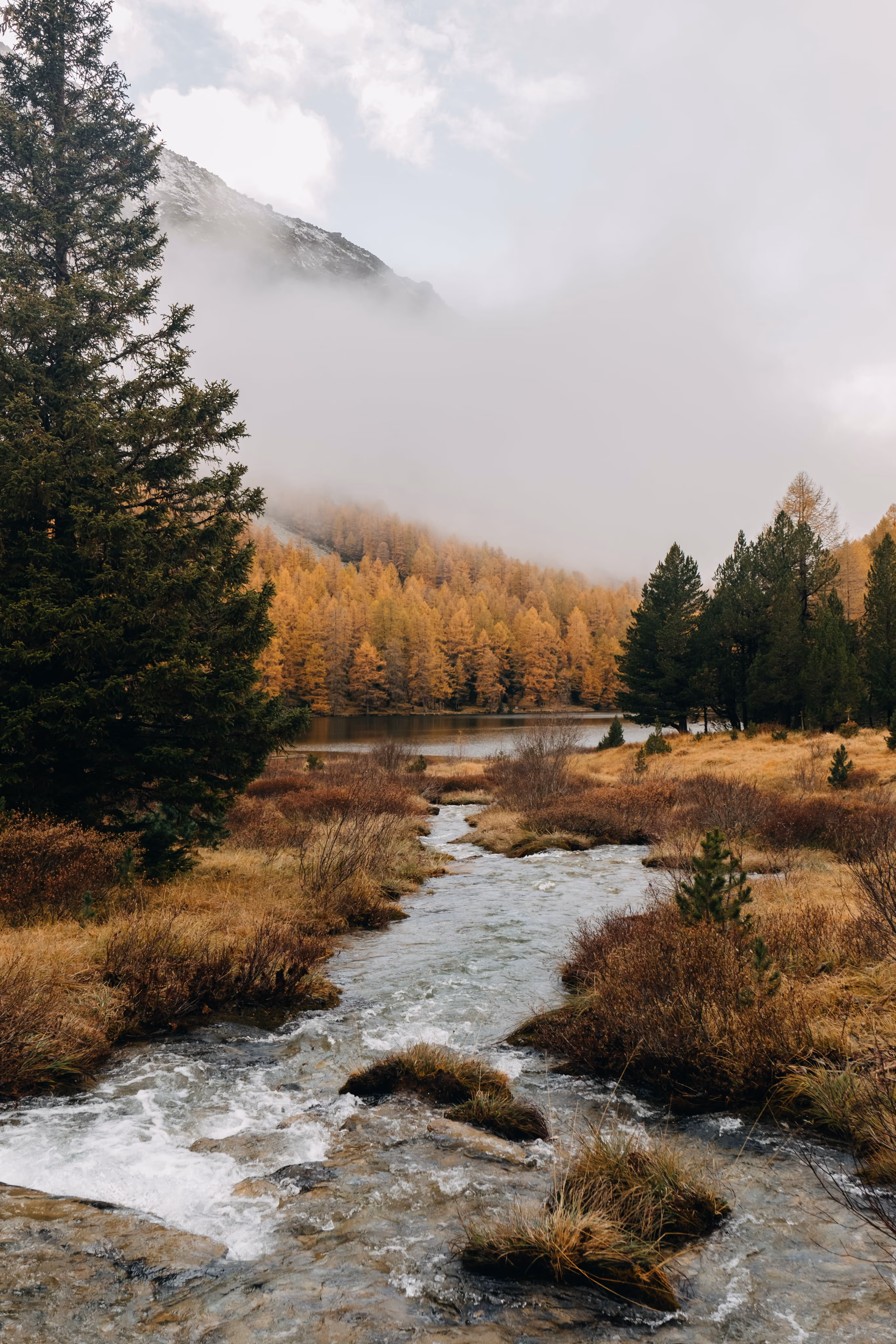 Stream flowing through autumn forest with mist-covered mountains in the background.