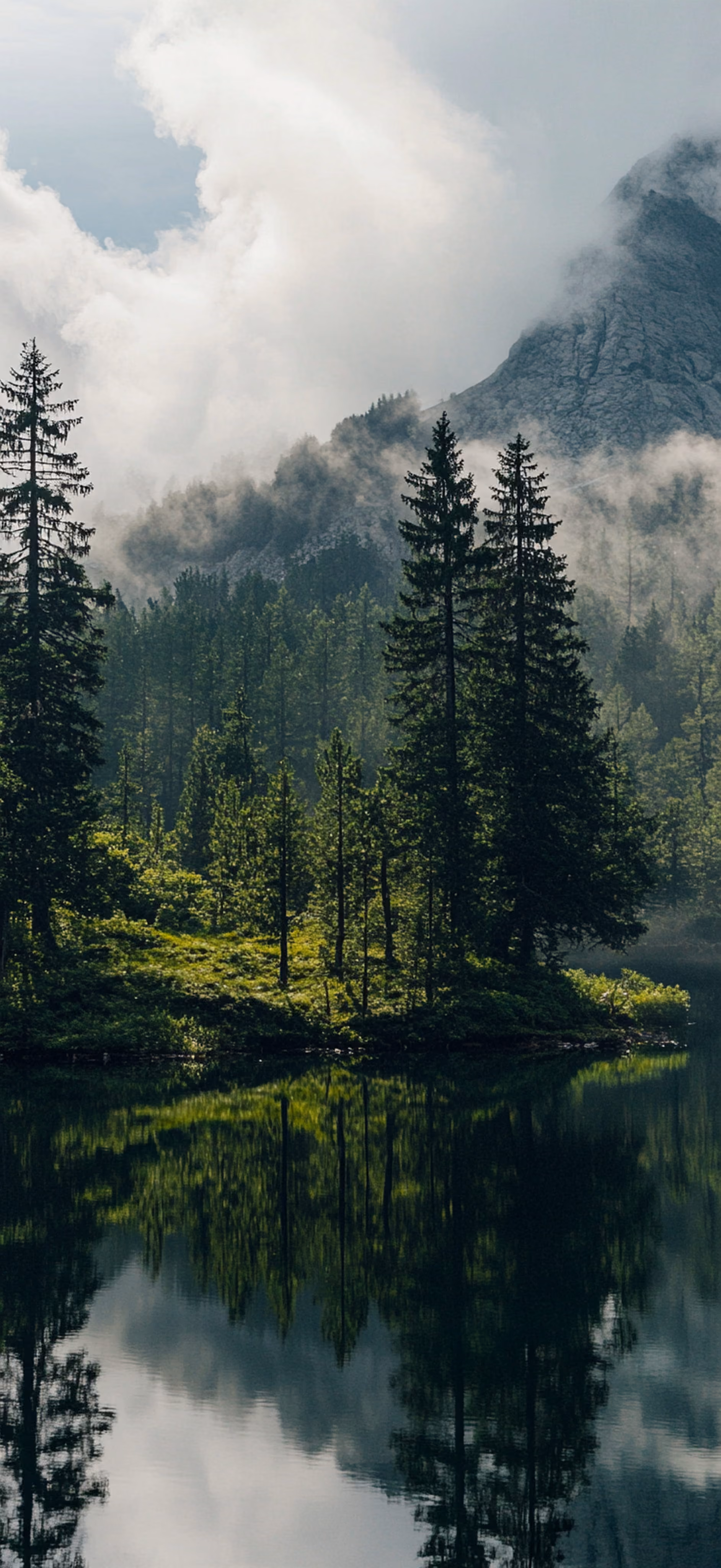 Pine trees on lake shore with mountain and misty clouds in the background reflected in calm water.