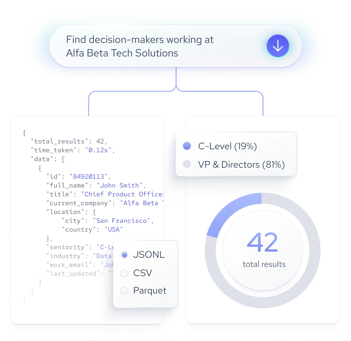 Interface displaying sales intelligence data: finding decision-makers at Alfa Beta Tech Solutions with 42 total results, showing JSON data sample, seniority breakdown of 19% C-Level and 81% VP & Directors, and file format options JSONL selected.
