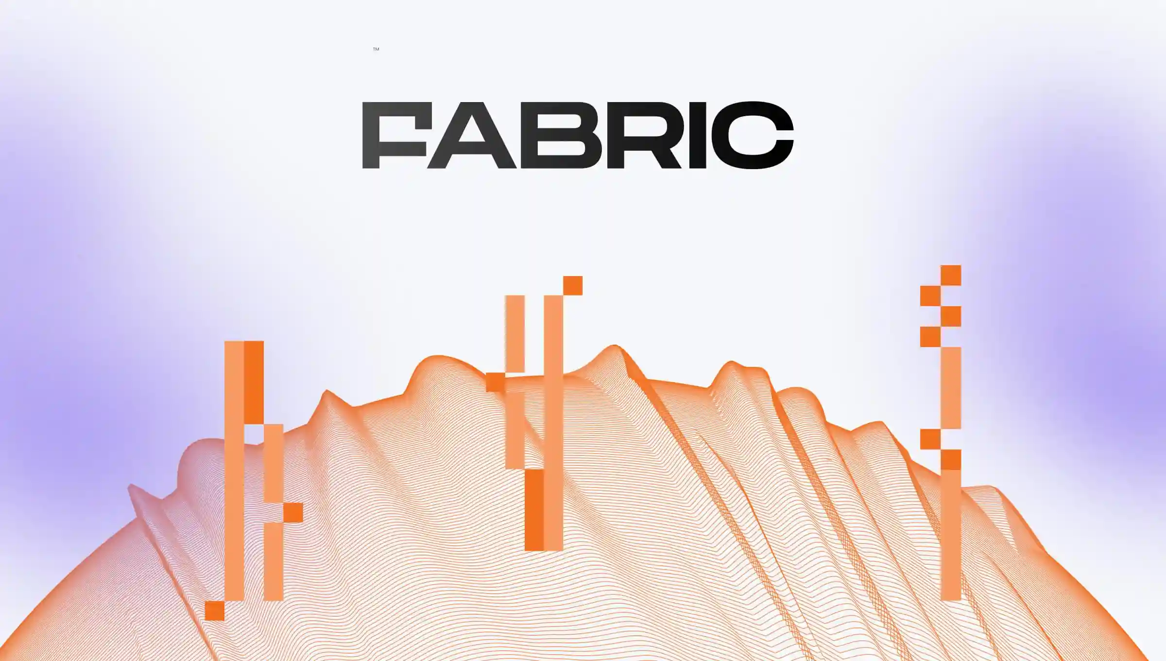 Fabric Case Study Cover