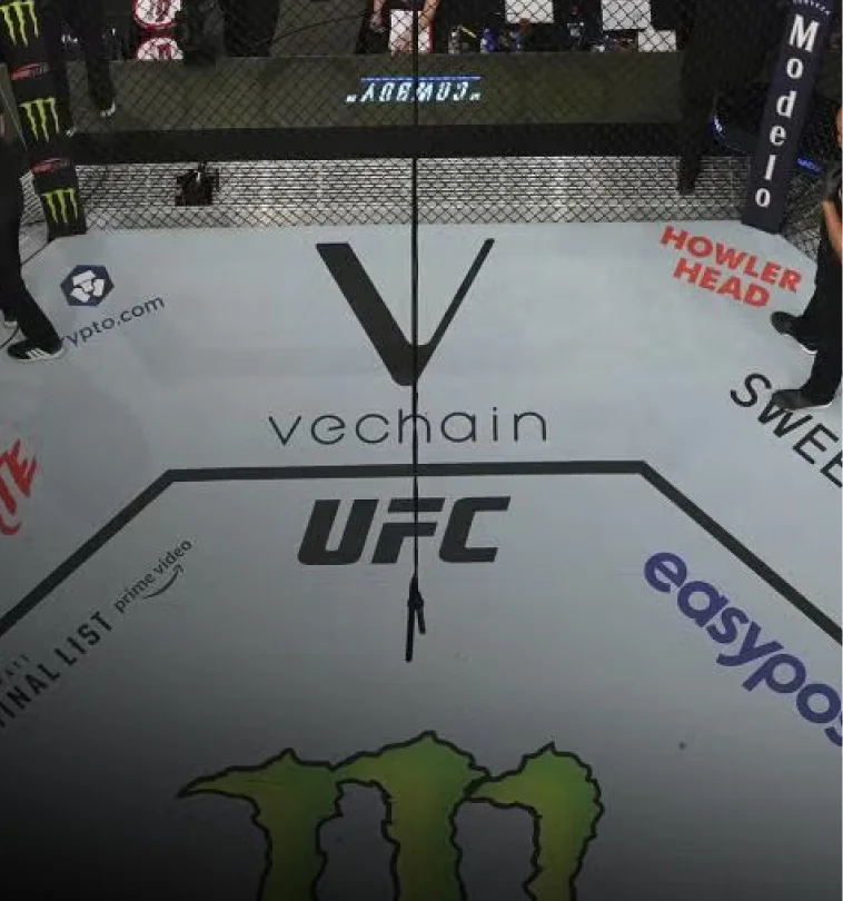 VeChain Case Study Gallery 2