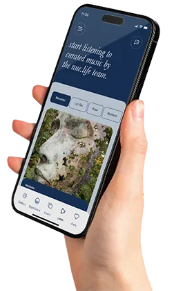 Imagen Phone NueLife Ensolvers