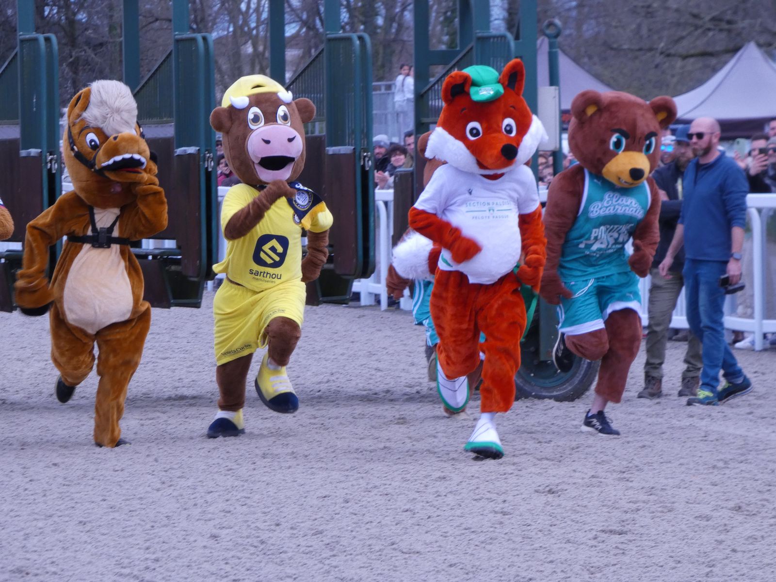 La mascotte de l'Elan, "Foxy" la mieux partie! 