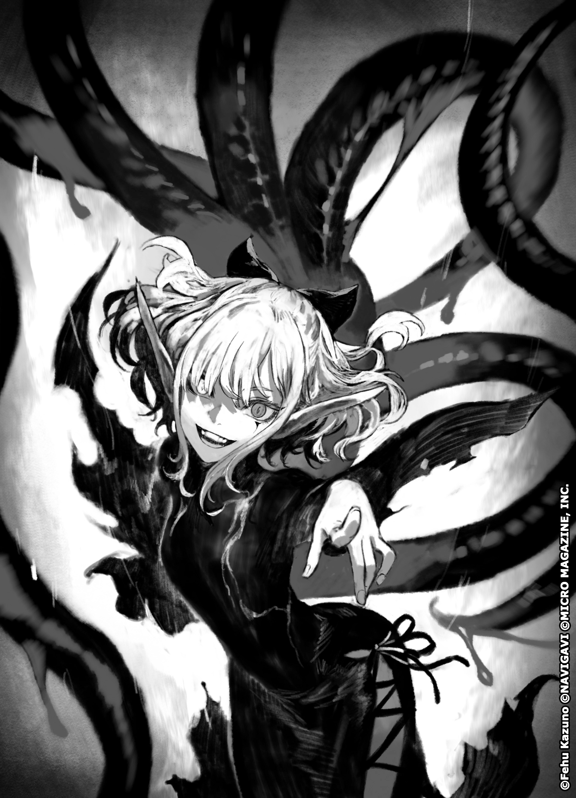 Mynoghra Light Novel