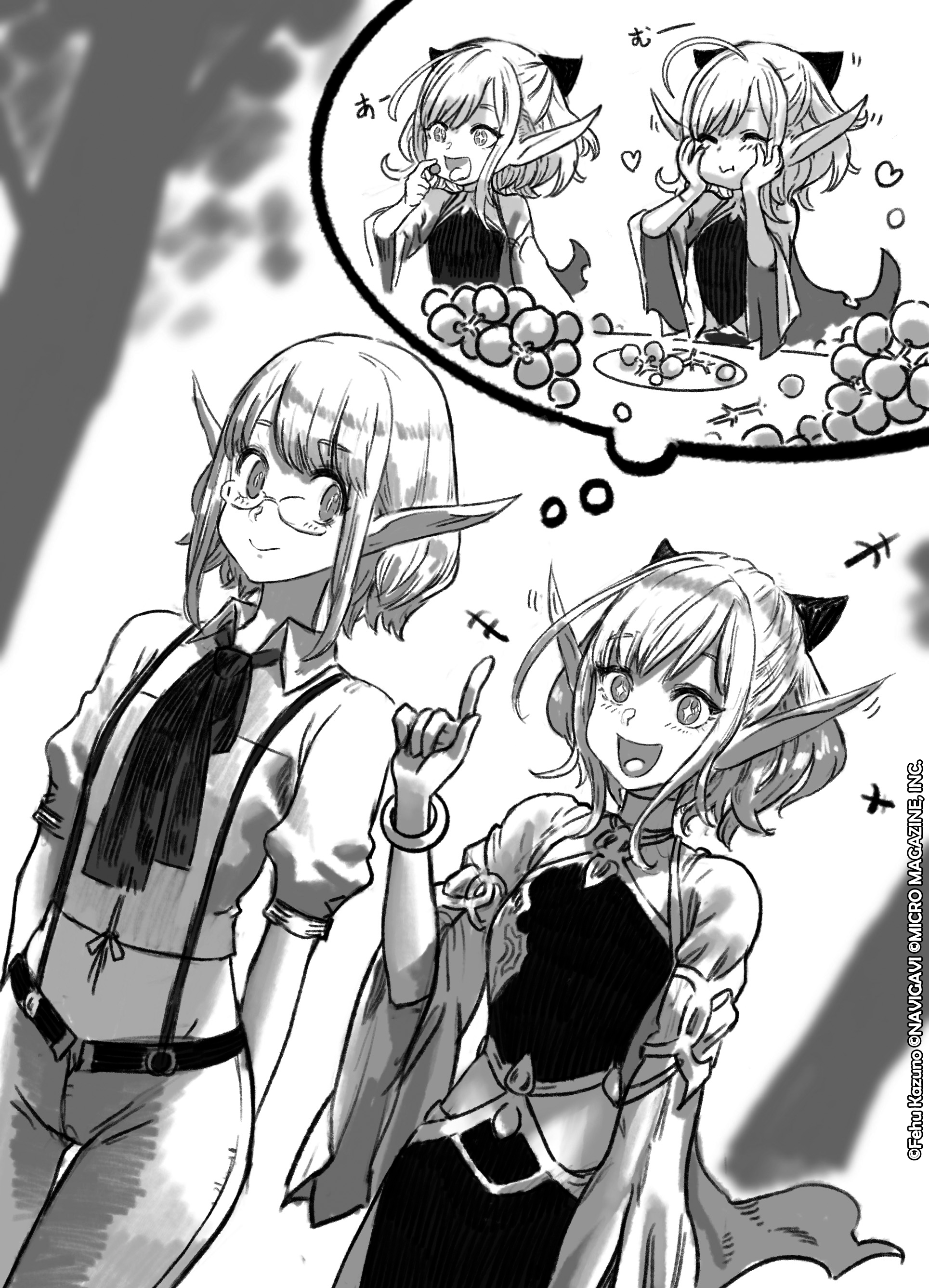 Mynoghra Light Novel