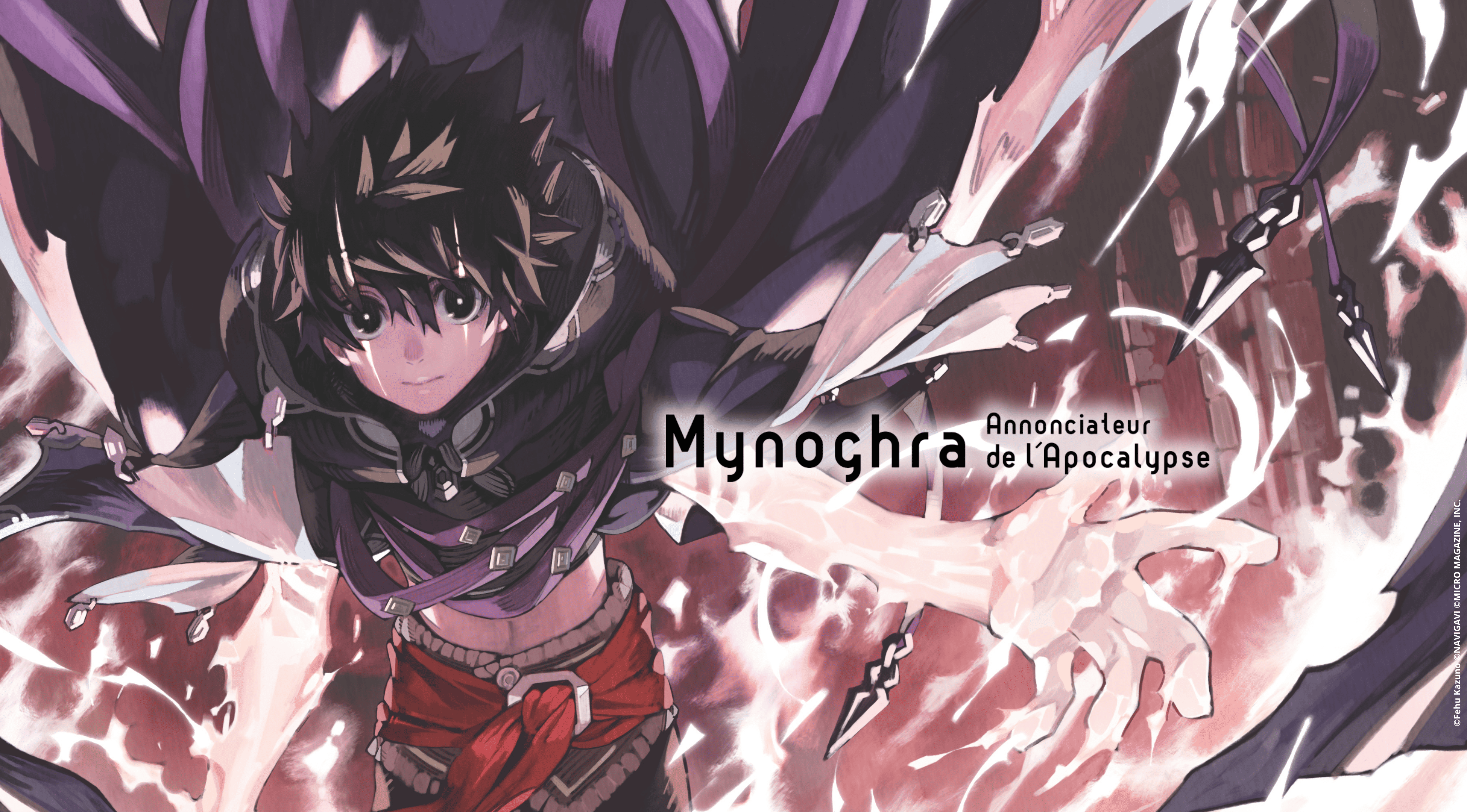 Pack Libraire Mynoghra