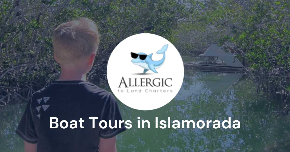 Islamorada Boat Tours Custom Eco Tours, Snorkeling, Sandbar Tours