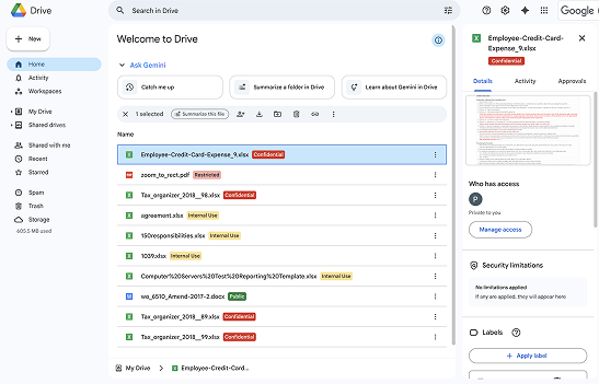 data-risk-management