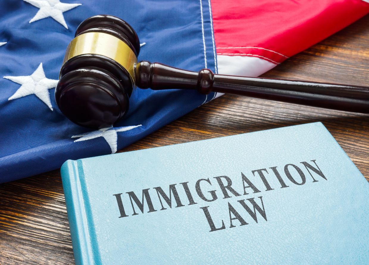 RIGHTS OF IMMIGRANTS IN DETENTION - BAIL AND PAROLE