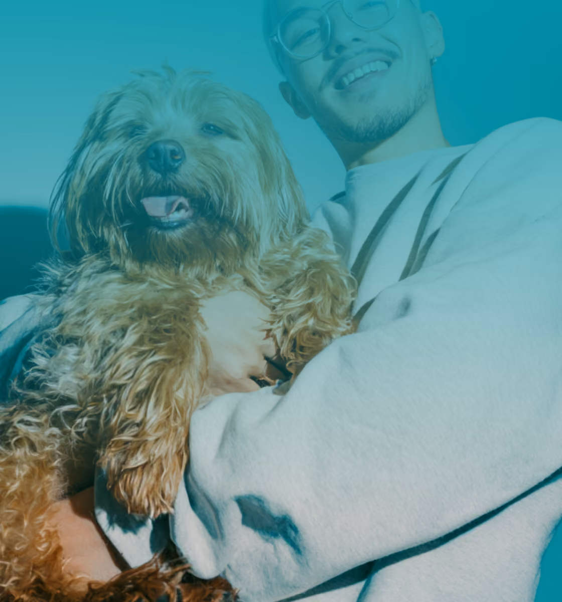 Small white fluffy dog wrapped in a brown towel looking attentively with a soap bubble near its face.