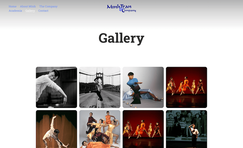 Screenshot of the gallery page showcasing a grid of performance photos.