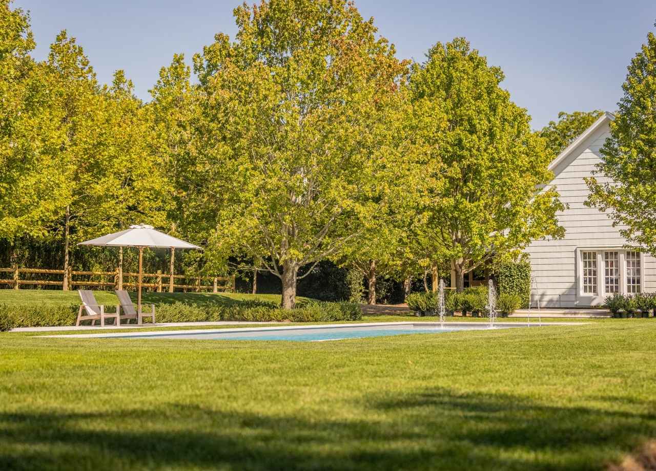 landscaping ideas