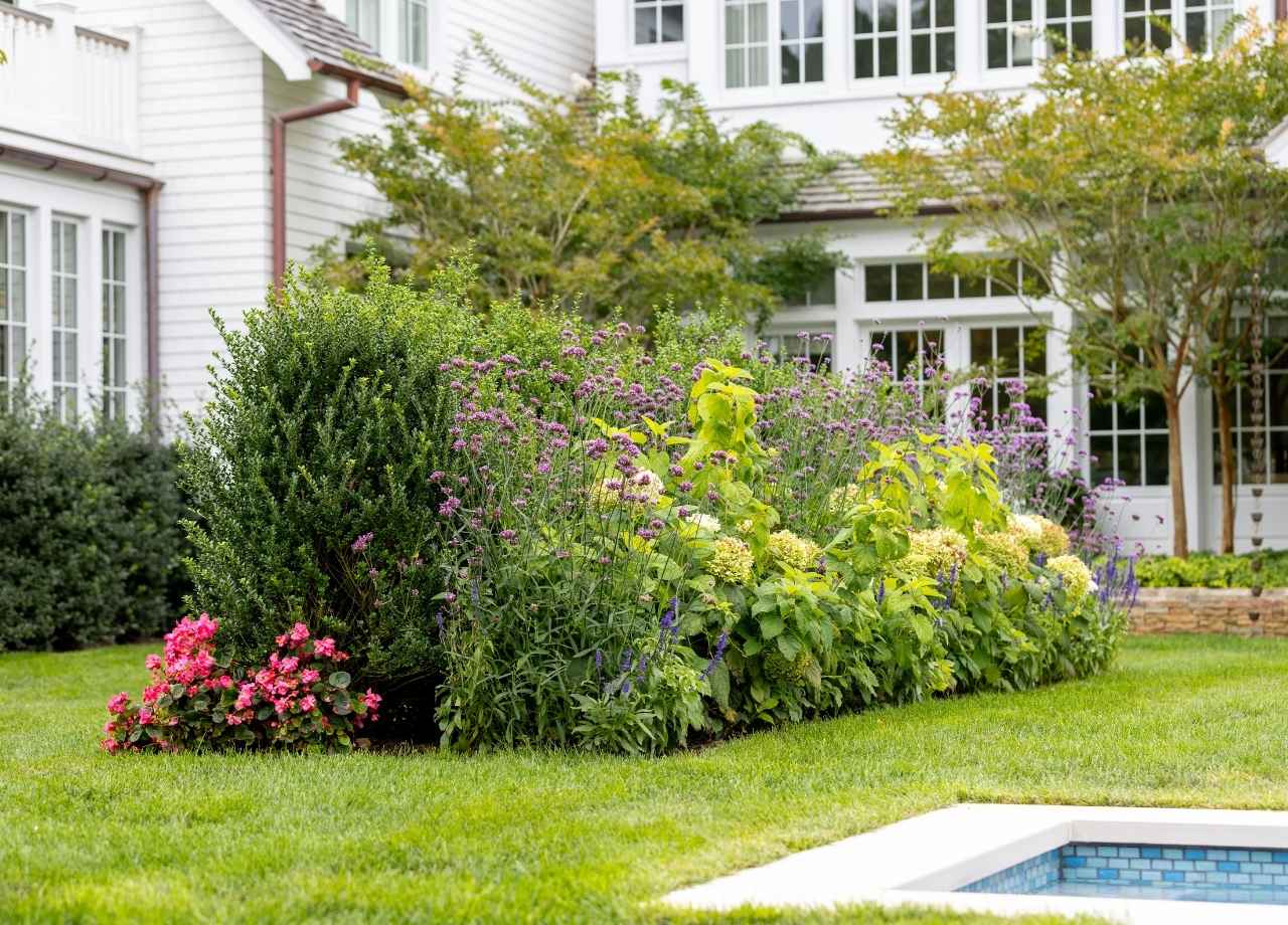 hamptons lawn for winter