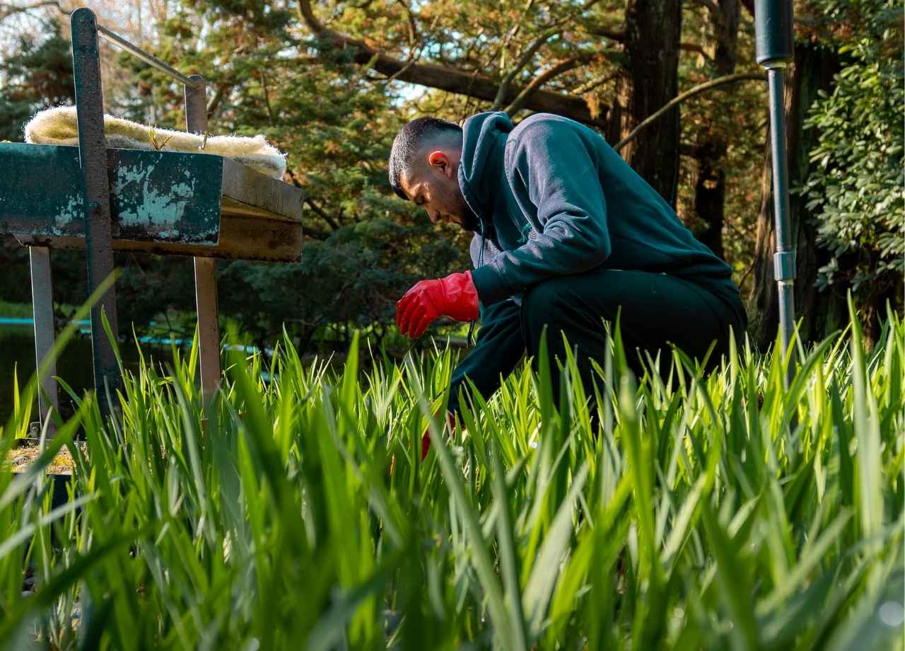 tick control in hamptons