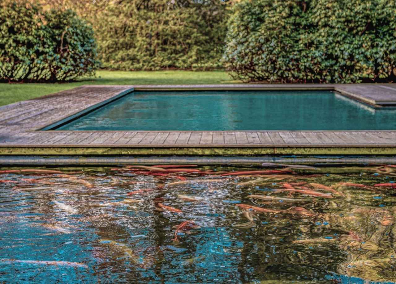 How to Protect Coastal Landscapes in Hamptons