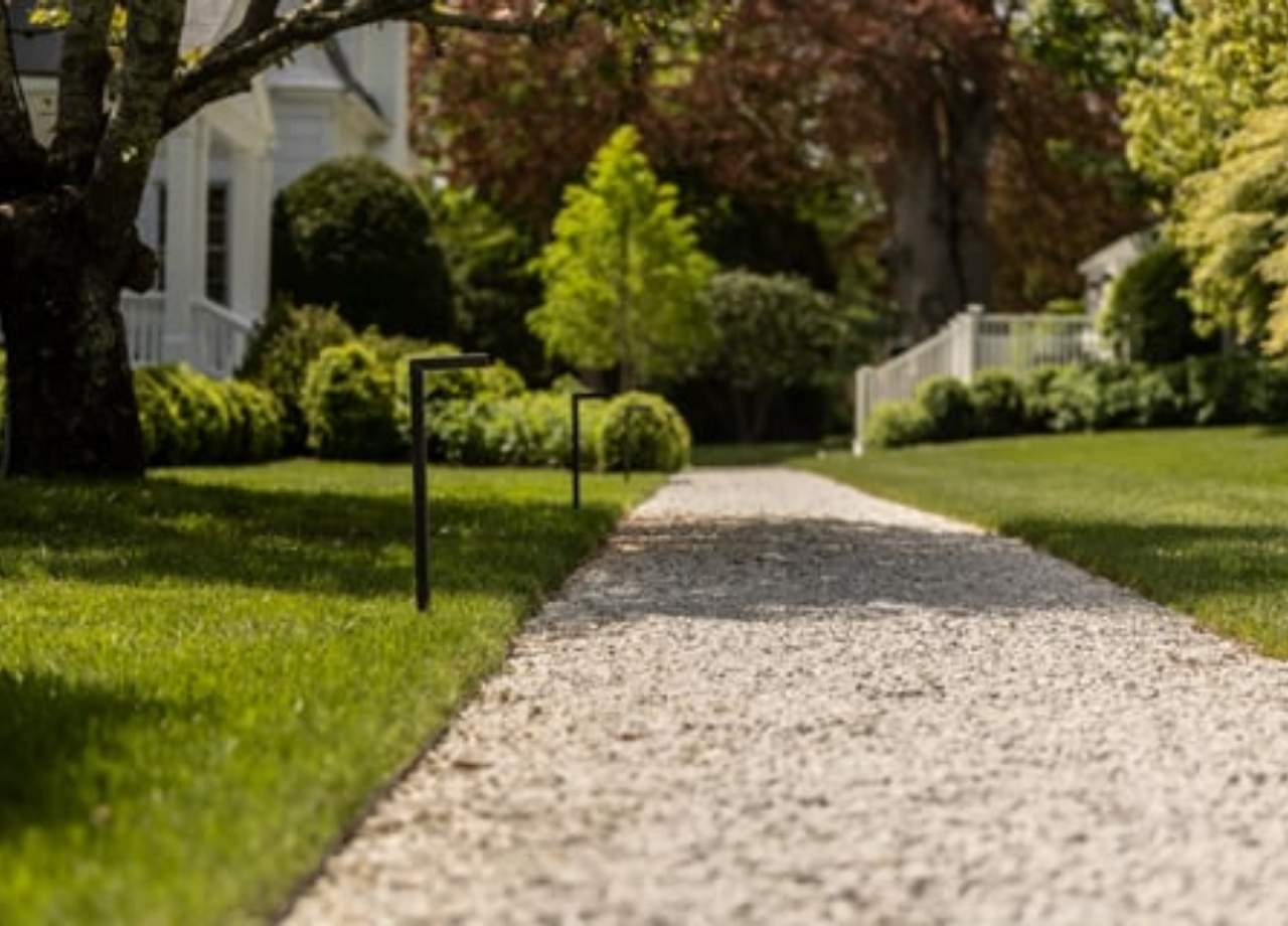 Hamptons Native Plantings