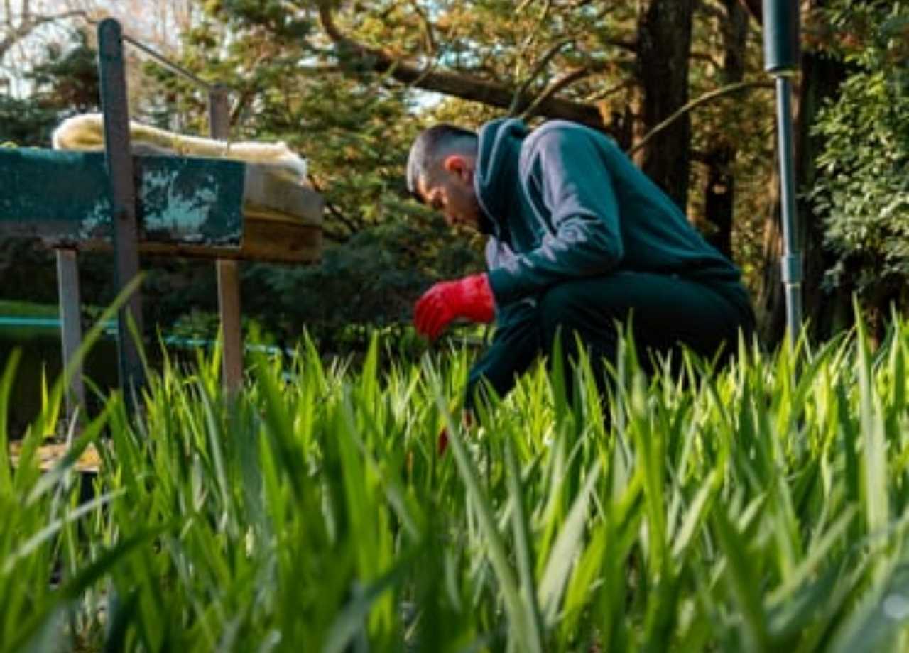Hamptons Native Plantings