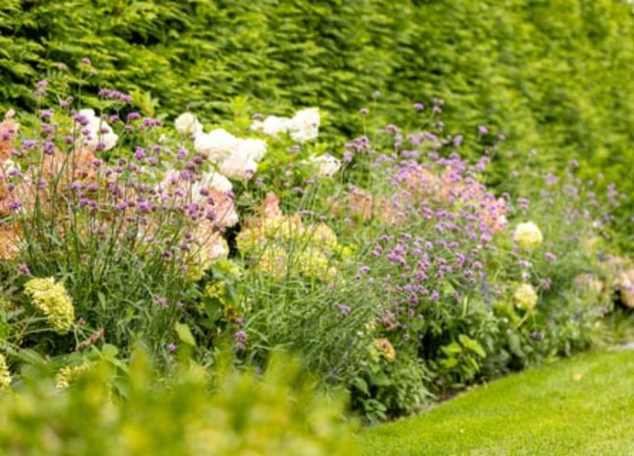 cost of landscape design in Hamptons