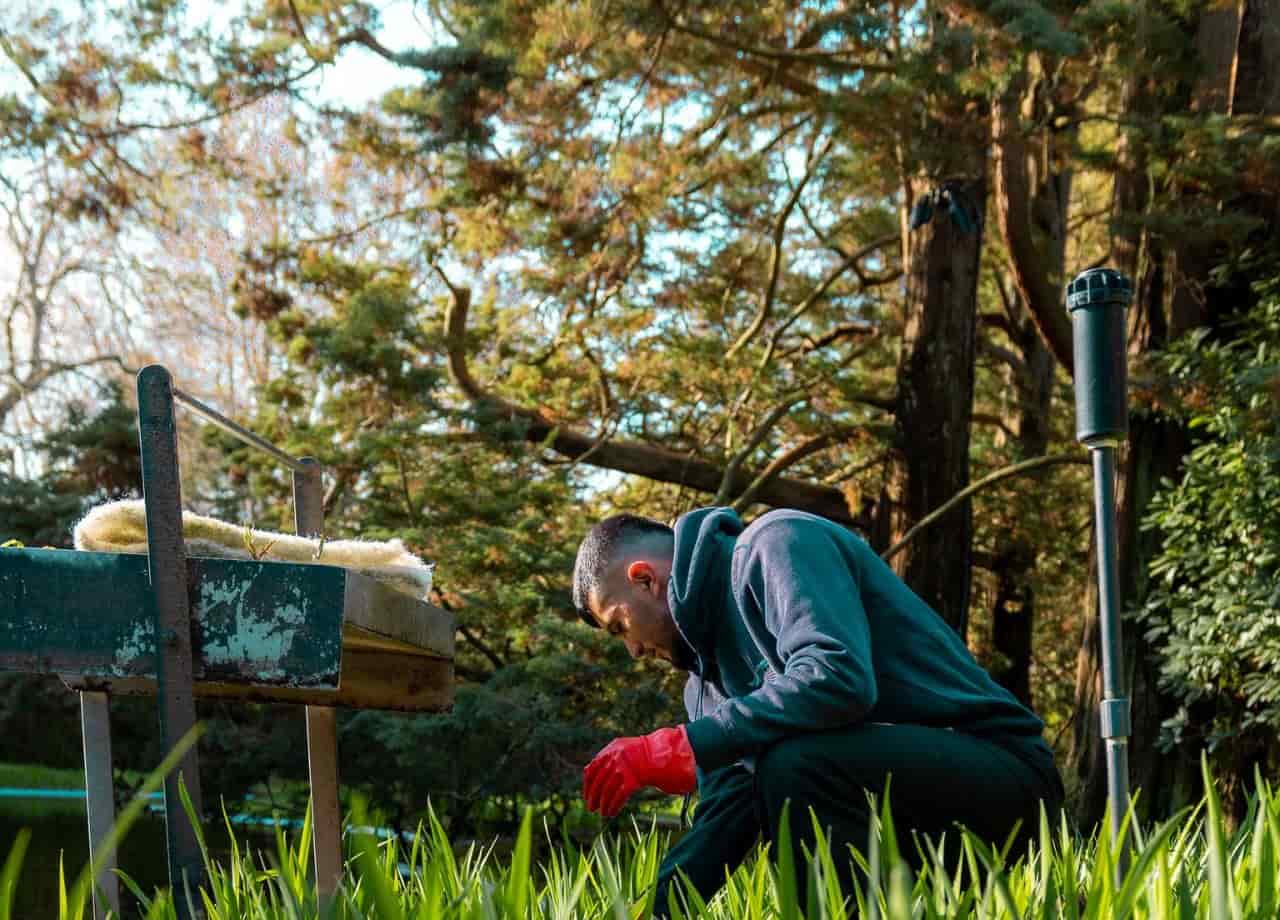 winterization matters