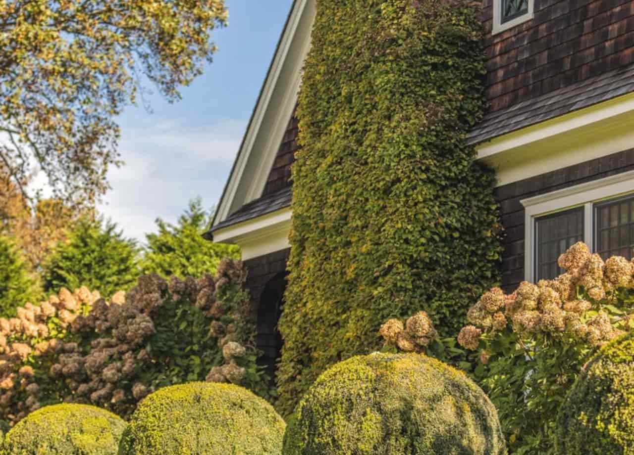 Hamptons Environment