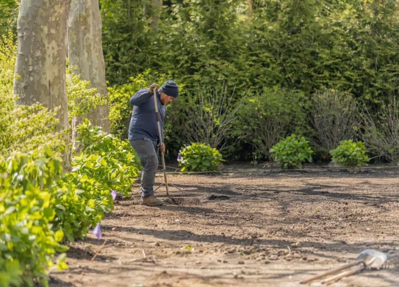 Hamptons Growing Conditions