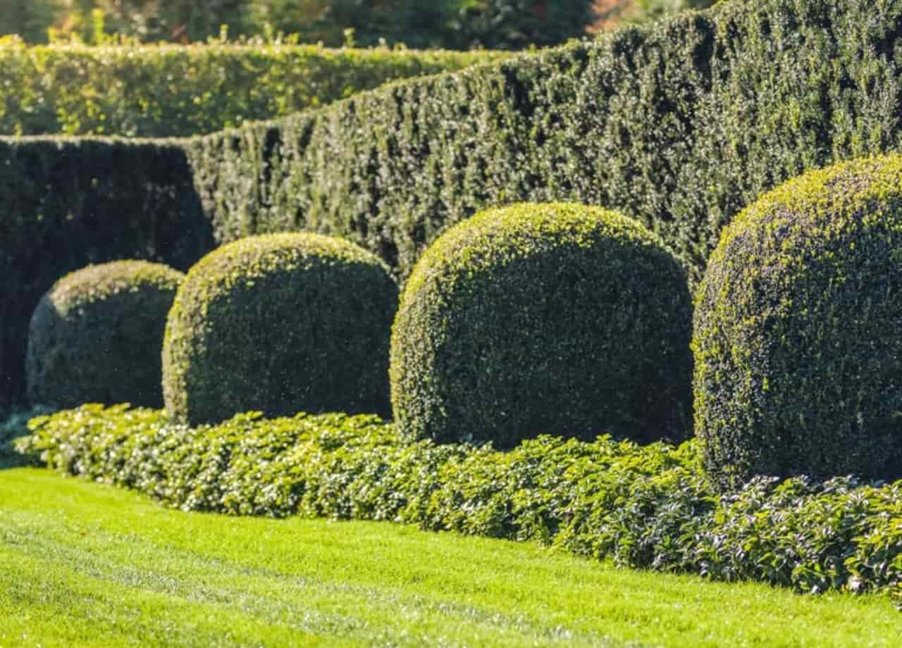 flower bed edging ideas​