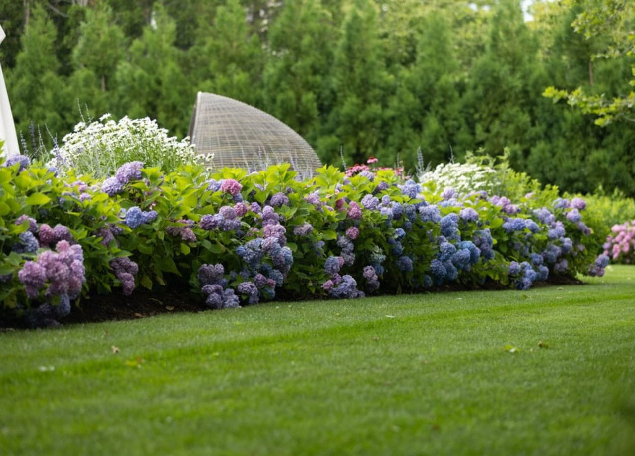 Choosing the Right Flower Bed Edging Ideas for Your Property