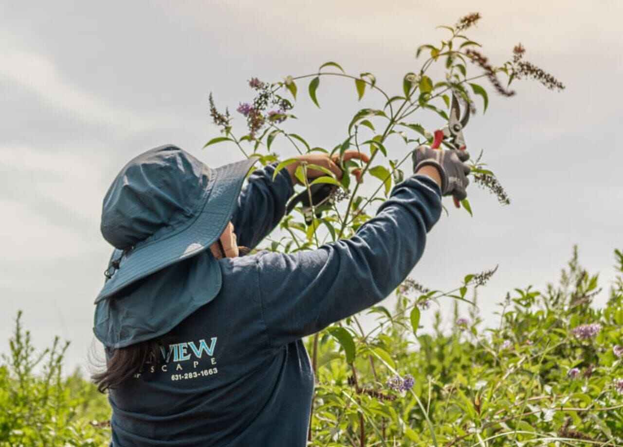 A Note on Replanting