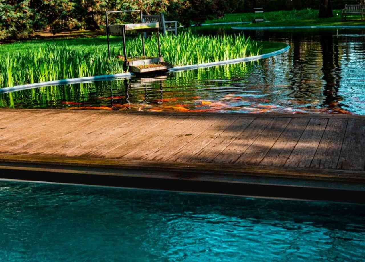 Sagaponack’s Coastal Conditions