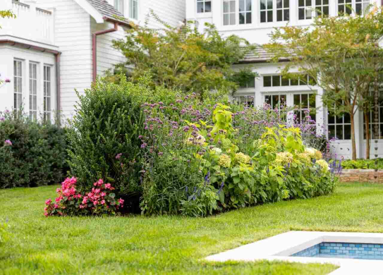 What Makes a Rain Garden Different?
