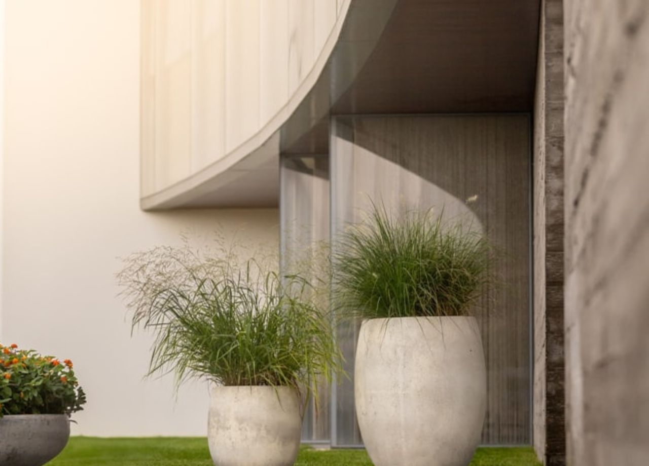 Backyard Lighting Ideas