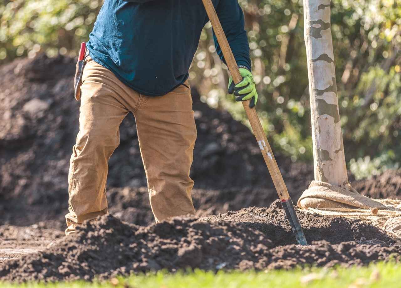 tree debris removal cost​
