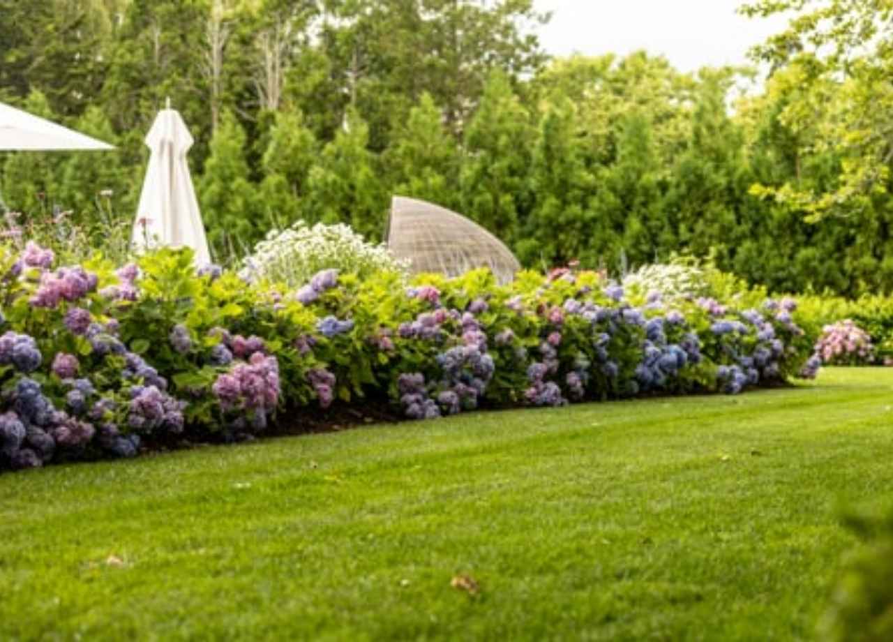 plants for sandy soil