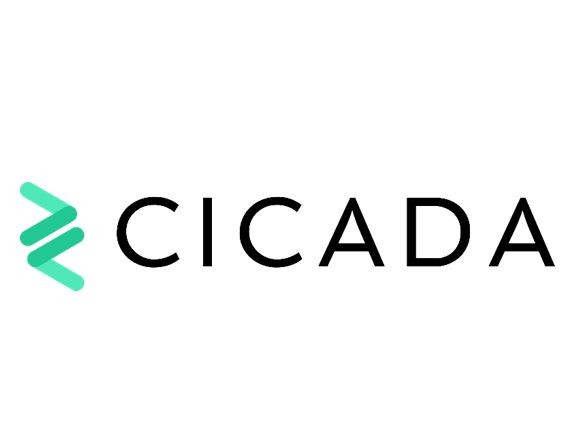 Cicada