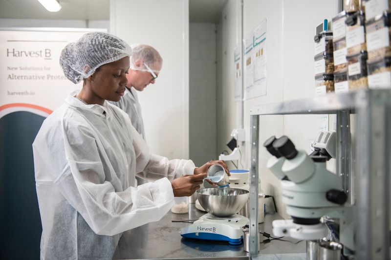 Harvest B food technologists testing protein in the lab
