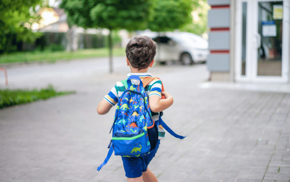 recognizing the signs that your child needs a psychoeducational assessment