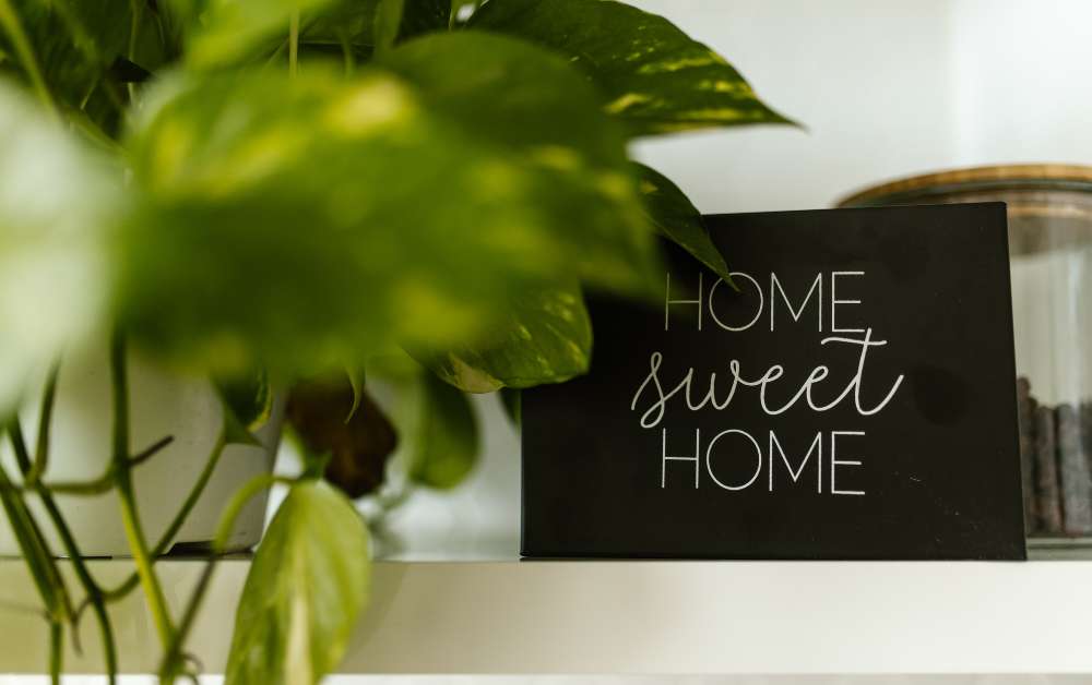 Challenges of Living Alone with Autism