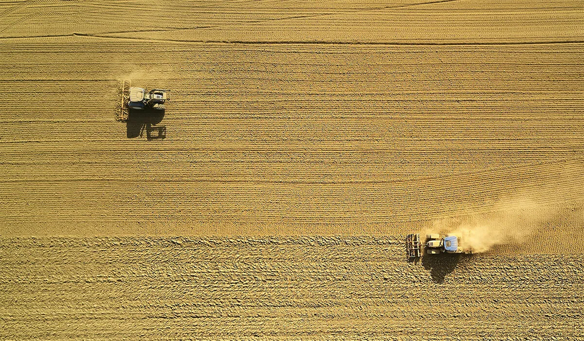 Aerial view of machinery harvesting crops in a field.