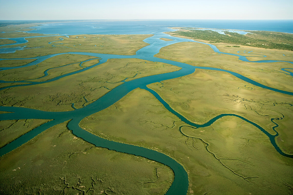 Aerial shot of rivers winding through green landscape.