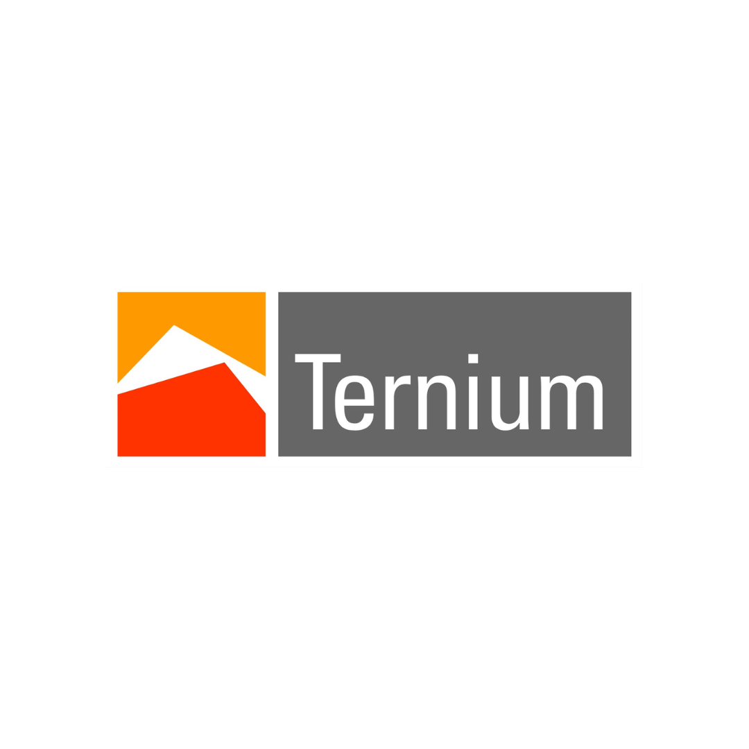 Ternerium, cliente tecnogeo ground