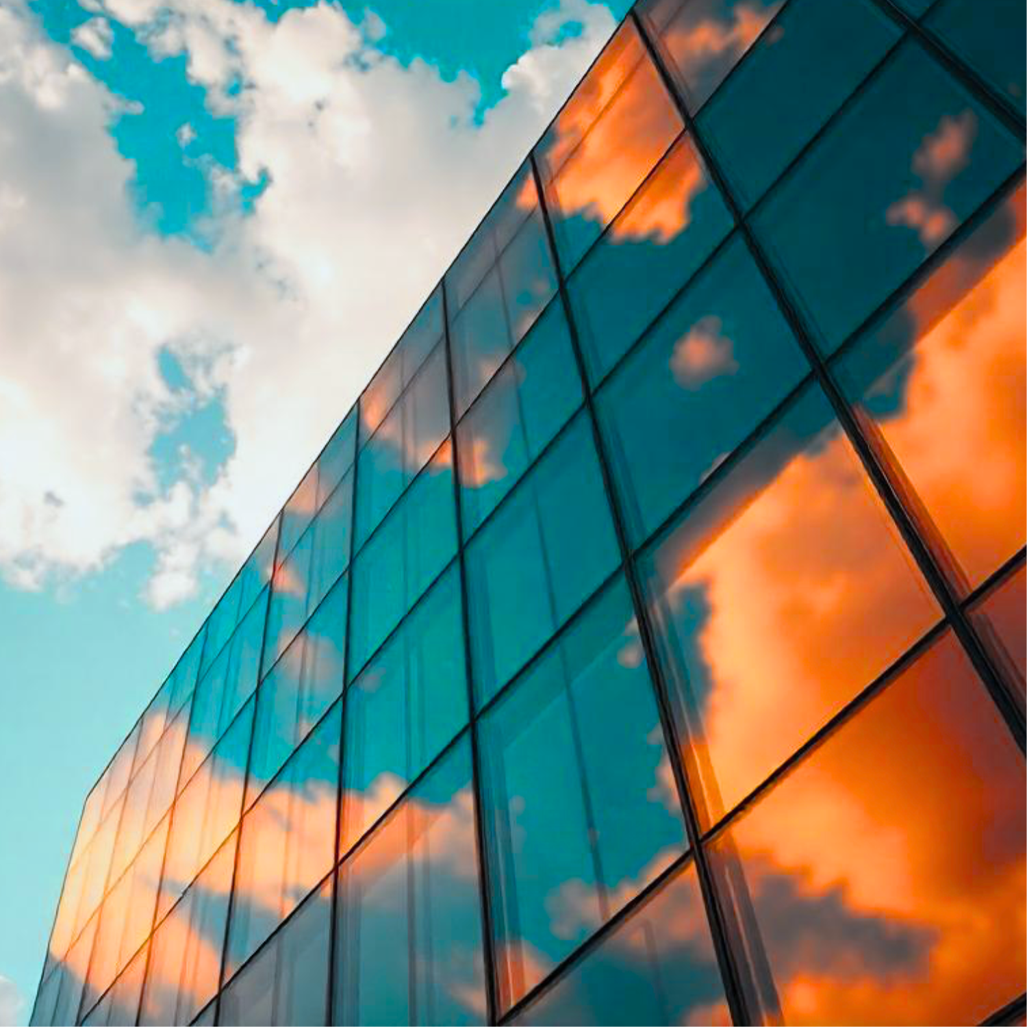 Unlocking Efficiency through Automation