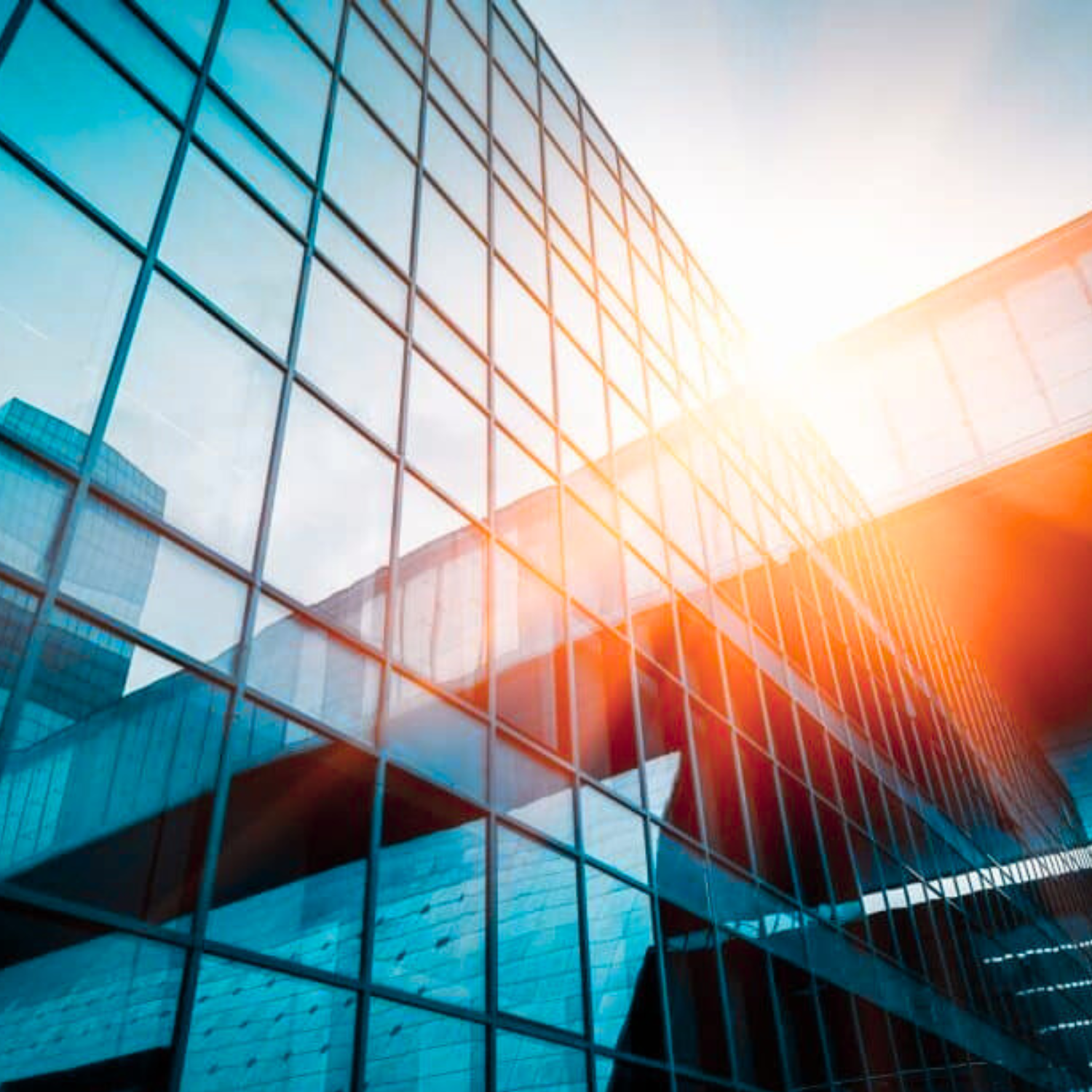 Driving Cost Efficiency