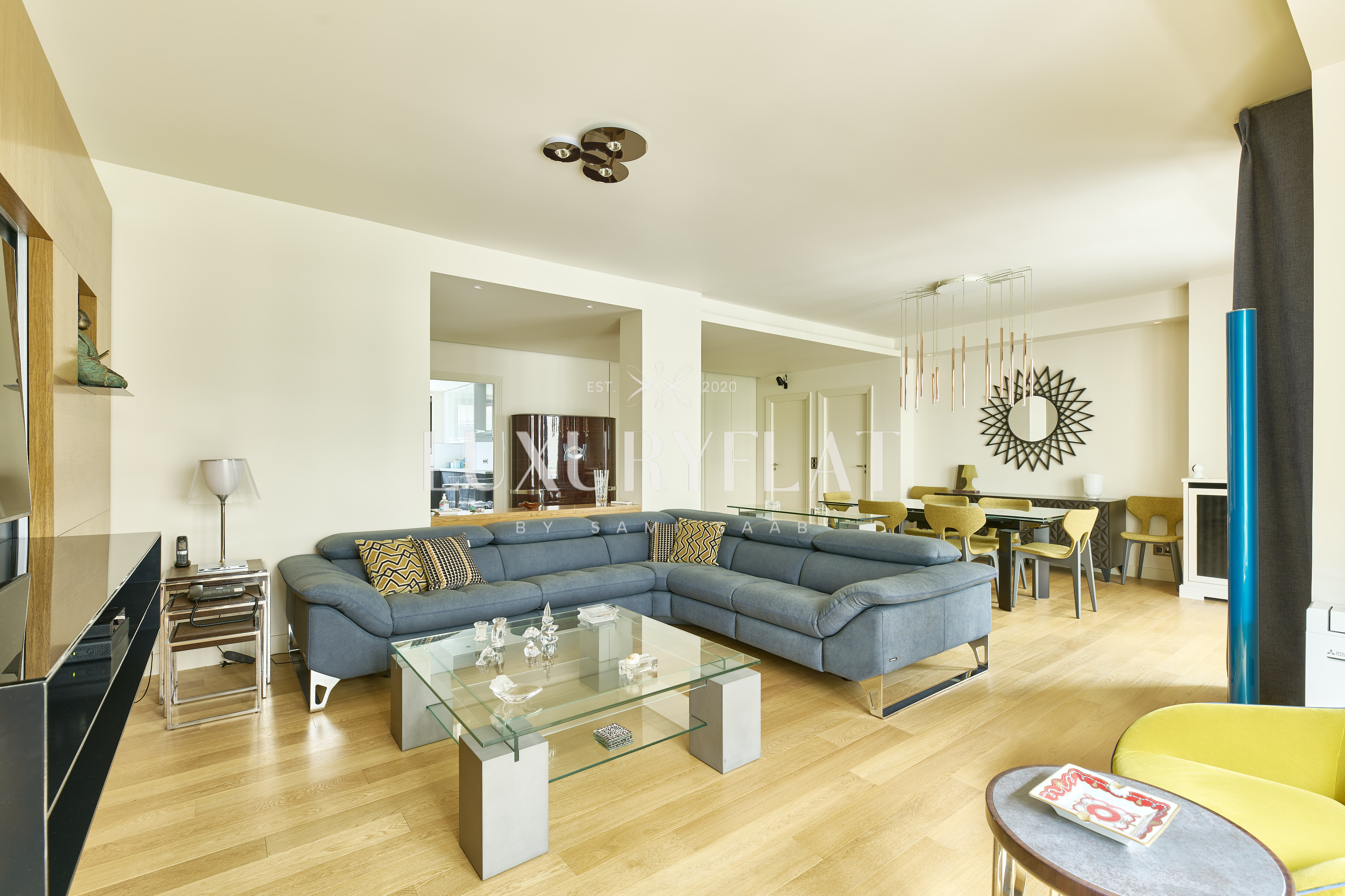 LUXURY FLAT IN PARIS - Paris real estate properties