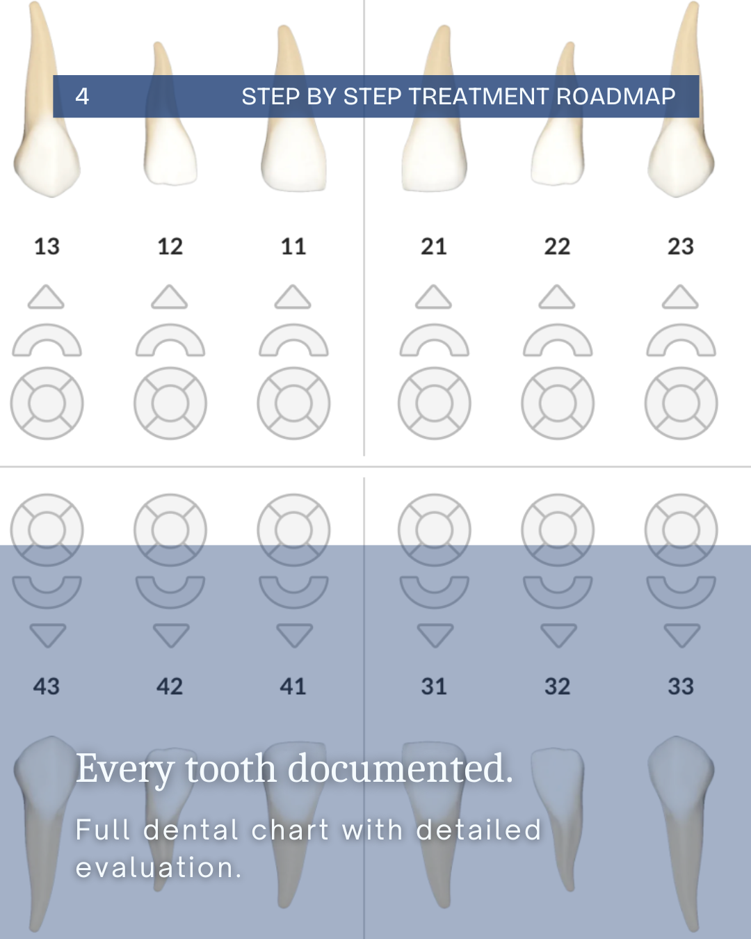 Full dental chart documenting every tooth as a clear, step-by-step treatment roadmap