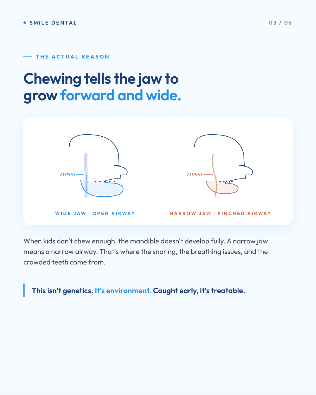 Carousel slide on the jaw growth window and how chewing shapes a child's jaw