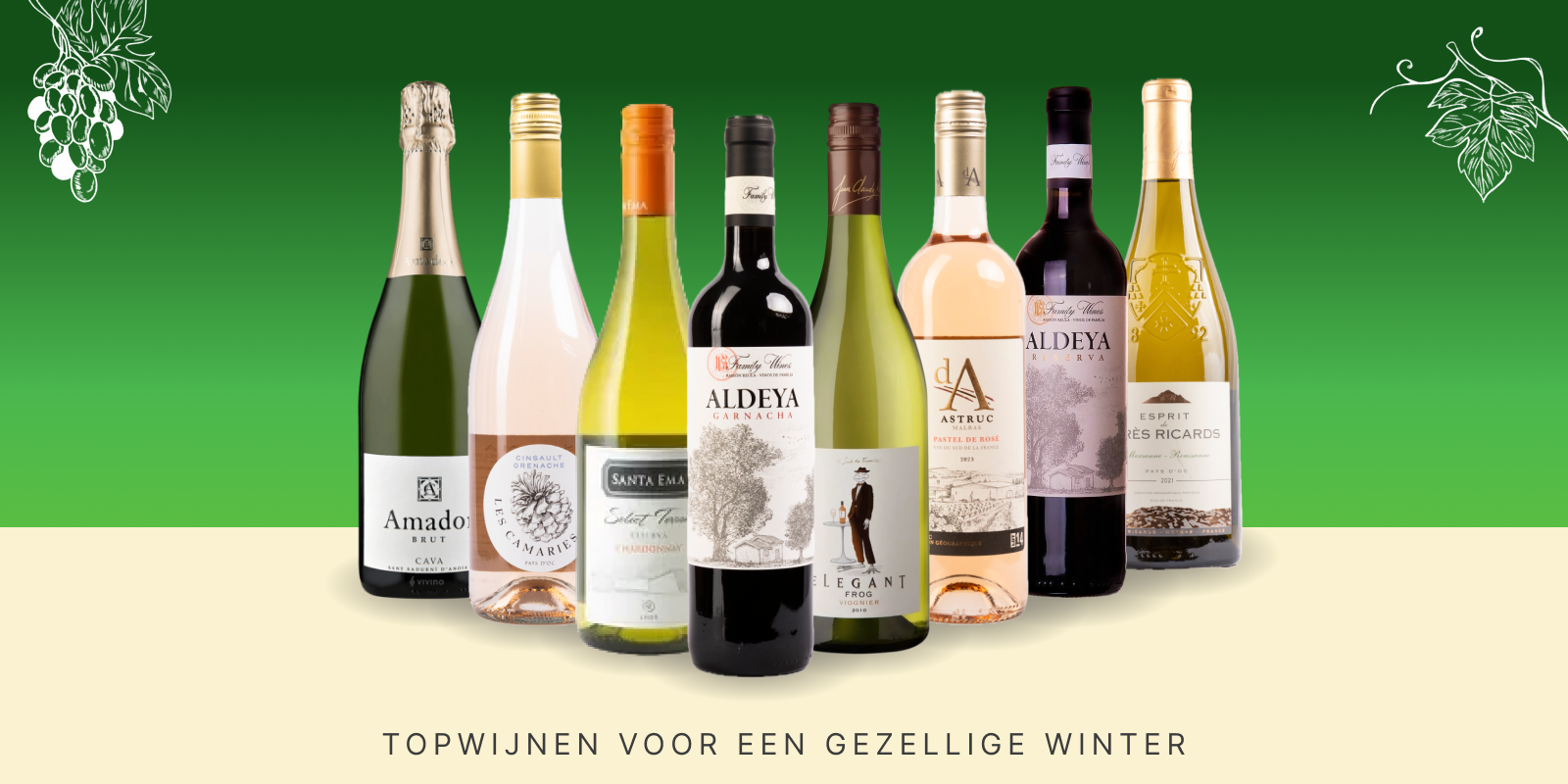 Overzicht van de wijnen die Rembert verkoopt.