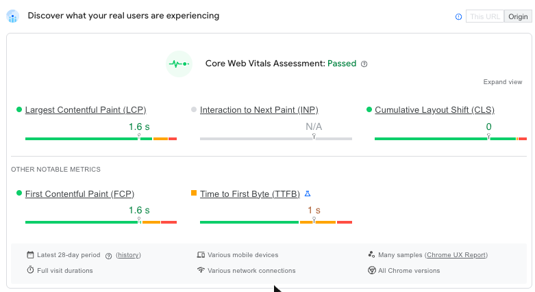 PageSpeed Insights Core Web Vitals assessment showing a passing result with Largest Contentful Paint of 1.6 seconds and Cumulative Layout Shift of 0