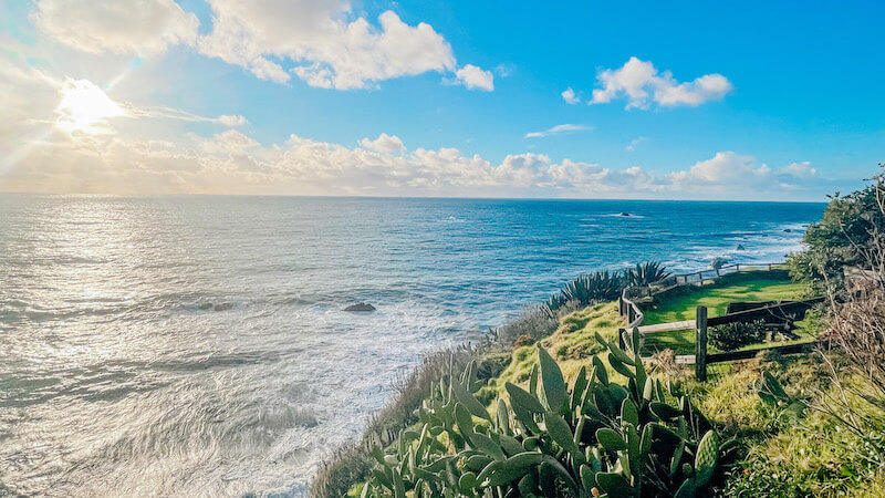 Photo by Stephanie Lewis