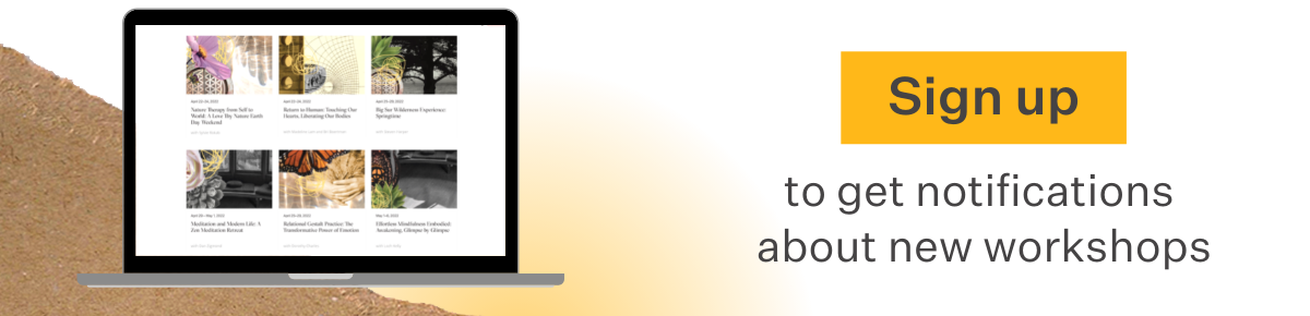 Sign up to get notifications about new workshops